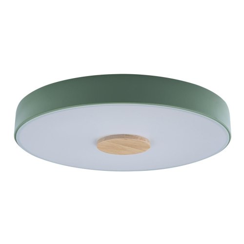Светильник потолочный LED Axel 10003/24 Green LOFT IT белый 1 лампа, основание зелёное в стиле модерн 