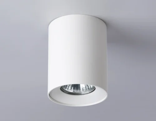 Светильник накладной TN213136 Ambrella light белый 1 лампа, основание белое в стиле хай-тек современный круглый фото 2