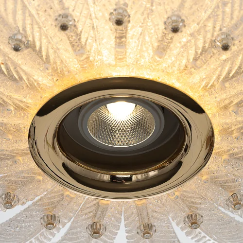 Люстра подвесная LED Deltoro CL327150 Citilux прозрачная на 1 лампу, основание золотое в стиле современный флористика арт-деко фото 5