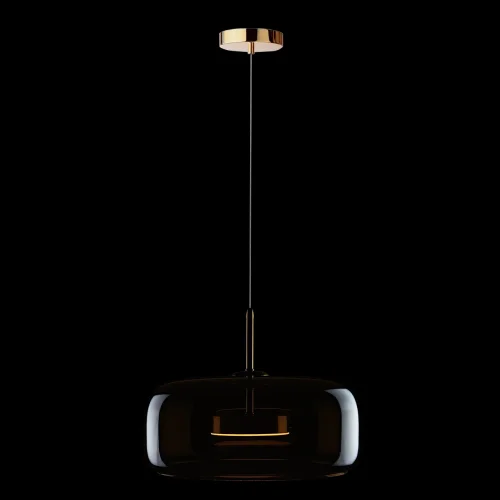 Светильник подвесной LED Dauphin 10040B LOFT IT коричневый 1 лампа, основание золотое в стиле модерн выдувное фото 2