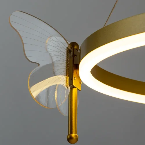 Светильник подвесной LED Darcy A2187LM-1GO Arte Lamp прозрачный золотой 1 лампа, основание золотое в стиле современный бабочки фото 4