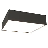 Светильник потолочный LED Zon C032CL-24W3K-SQ-B Maytoni белый 1 лампа, основание чёрное в стиле современный квадраты