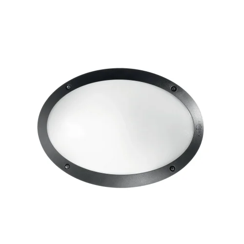 Настенный светильник уличный MADDI-1 AP1 NERO Ideal Lux уличный IP66 чёрный на 1 лампу, плафон чёрный в стиле современный E27