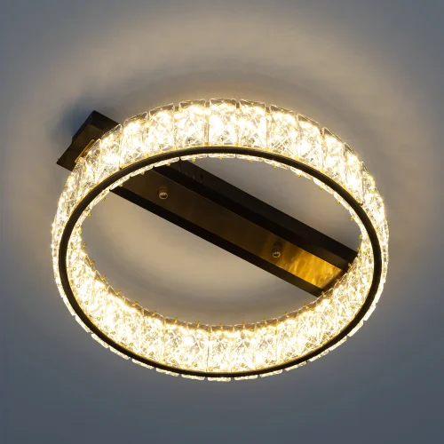 Люстра потолочная LED Palant CL325142 Citilux прозрачная на 1 лампу, основание чёрное в стиле классический современный фото 5