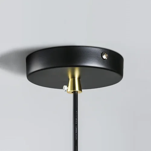 Подвесной реечный светильник HAKON L Черный 184498-26 ImperiumLoft белый 4 лампы, основание чёрное в стиле современный  фото 11