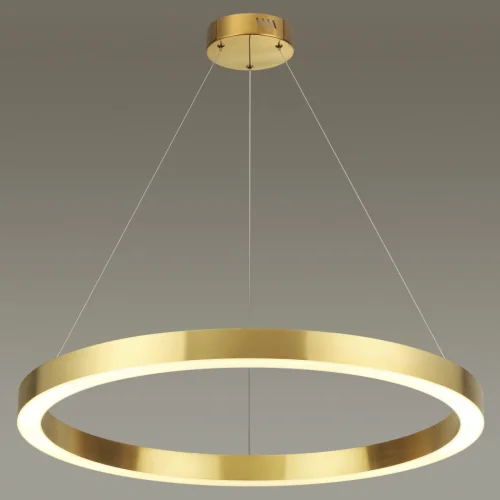 Светильник подвесной LED Brizzi 3885/45LG Odeon Light золотой 1 лампа, основание золотое в стиле хай-тек современный кольца фото 4