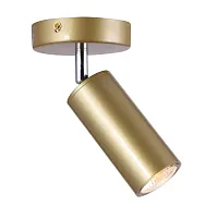 Светильник накладной TRINITY 76055/1W GOLD SATIN Natali Kovaltseva золотой 1 лампа, основание золотое в стиле современный круглый