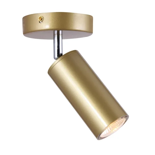 Светильник накладной TRINITY 76055/1W GOLD SATIN Natali Kovaltseva золотой 1 лампа, основание золотое в стиле современный круглый