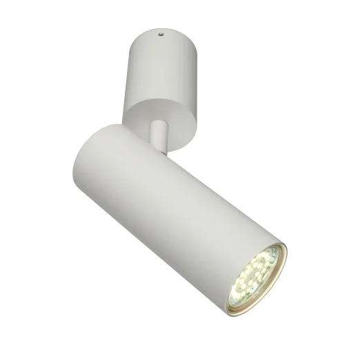 Светильник накладной Berenis APL.007.02.01 Aployt белый 1 лампа, основание белое в стиле модерн круглый