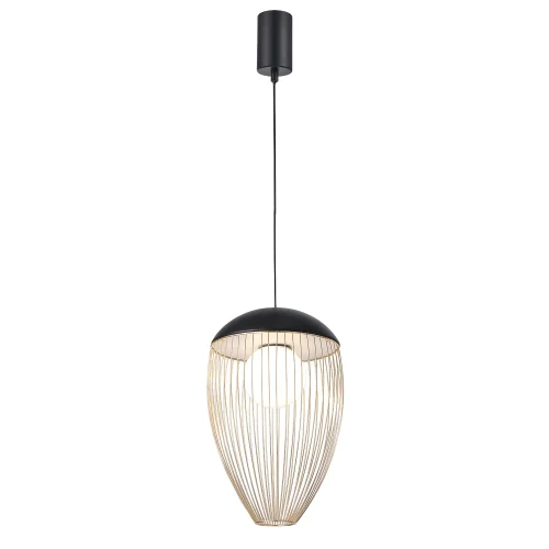 Светильник подвесной LED Core 4241-1P Favourite матовый золото на 1 лампу, основание чёрное в стиле современный 