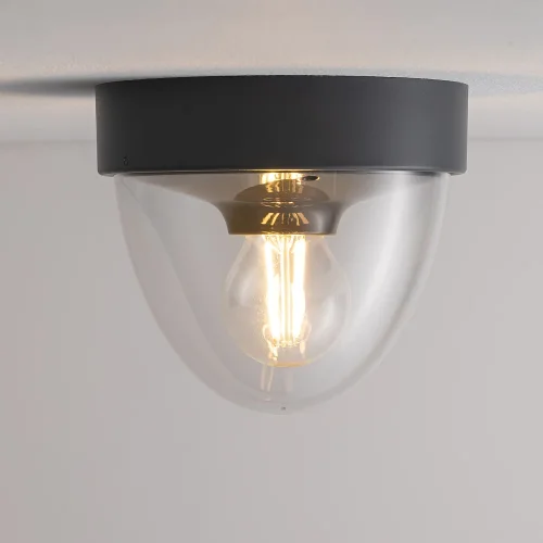 Светильник потолочный Nook 7965-NW Nowodvorski прозрачный на 1 лампу, основание графит в стиле современный фото 2