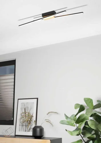 Светильник потолочный LED Panagria 900488 Eglo чёрный на 2 лампы, основание чёрное в стиле современный хай-тек фото 2