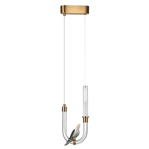 Светильник подвесной LED Lark 5431/2L Odeon Light на 1 лампу, основание в стиле классический птички