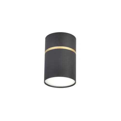 Светильник накладной Dunia 3068-1C Favourite чёрный 1 лампа, основание чёрное в стиле модерн круглый