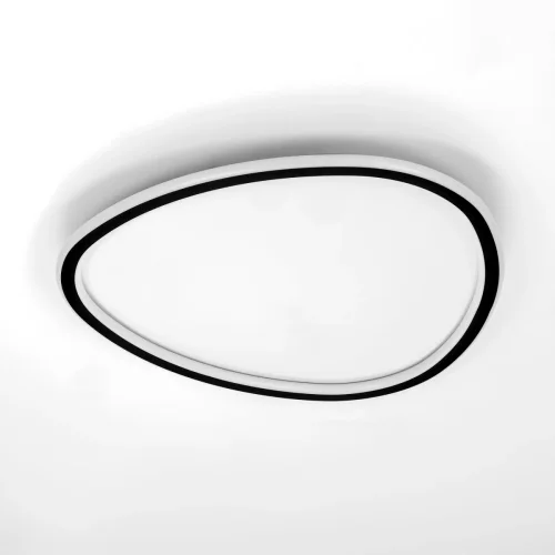 Люстра потолочная LED с пультом Trio CL215B251E Citilux белая на 1 лампу, основание чёрное в стиле современный с пультом фото 9
