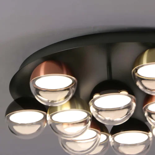 Люстра потолочная LED Luna 4371-12C Favourite прозрачная на 1 лампу, основание чёрное в стиле современный фото 6