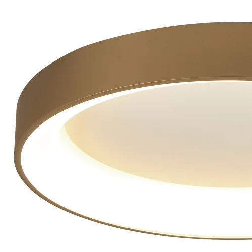 Светильник потолочный LED Niseko 8026 Mantra белый 1 лампа, основание золотое в стиле современный  фото 2