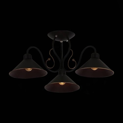 Люстра потолочная лофт Ciolla SLE120402-03 Evoluce чёрная на 3 лампы, основание чёрное в стиле лофт  фото 2