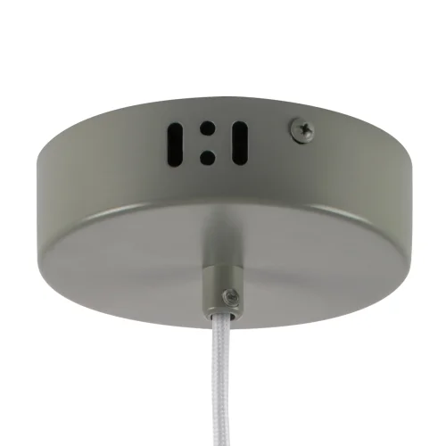 Светильник подвесной LED Erbareo 799019 Lightstar серый на 1 лампу, основание серое в стиле лофт современный фото 4