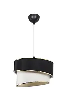 Светильник подвесной Bertina TL1622H-01BW Toplight чёрный 1 лампа, основание чёрное в стиле модерн 