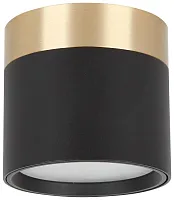 Светильник накладной LED Altair WTA.O21.607.30.07 Wertmark чёрный на 1 лампу, основание бронзовое чёрное в стиле хай-тек современный круглый