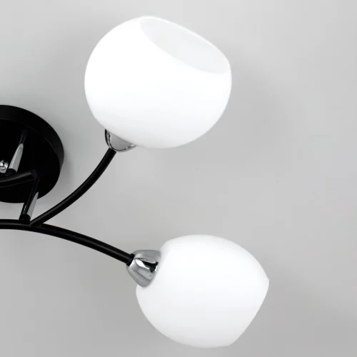 Люстра потолочная Флорида CL148145 Citilux белая на 4 лампы, основание чёрное в стиле современный  фото 6