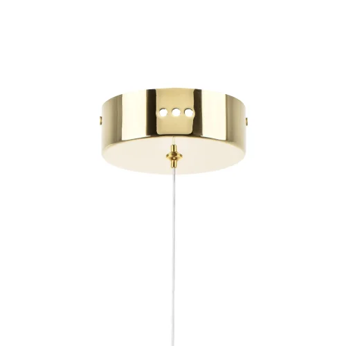 Светильник подвесной LED Acrile 738023 Lightstar прозрачный 1 лампа, основание золотое в стиле минимализм хай-тек современный  фото 4