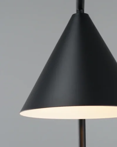 Настольная лампа Omaha V10516-1T Moderli чёрная 1 лампа, основание чёрное металл в стиле современный  фото 3