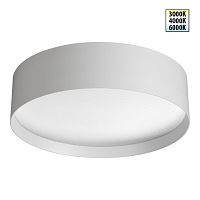 Светильник потолочный LED с переключателем цветовой температуры Orbis 359600 Novotech белый на 1 лампу, основание белое в стиле хай-тек современный круглый