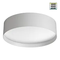 Светильник потолочный LED с переключателем цветовой температуры Orbis 359600 Novotech белый на 1 лампу, основание белое в стиле хай-тек современный круглый