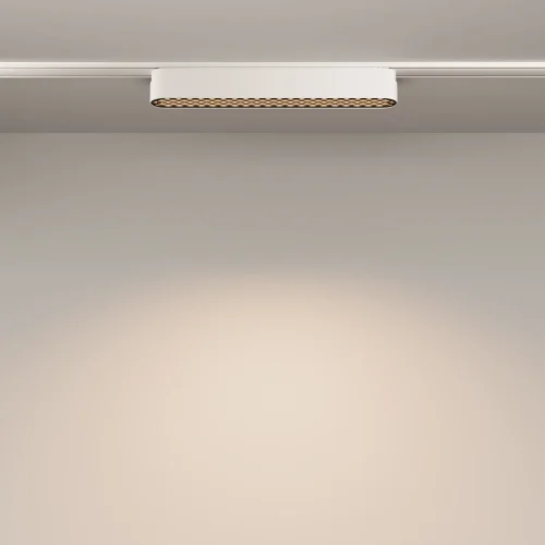 Трековый светильник LED Magnetic track system Radity TR084-1-12W4K-W Maytoni белый для шинопроводов серии Magnetic track system Radity белый фото 12