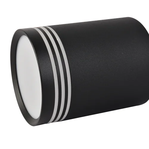 Светильник накладной Darar 3066-1C Favourite чёрный 1 лампа, основание чёрное в стиле современный круглый фото 3