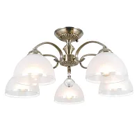 Люстра потолочная Франческа CL417153 Citilux белая на 75 ламп, основание бронзовое в стиле классический 