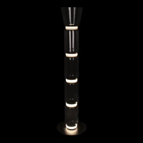 Торшер LED Noctambule 10193F/L LOFT IT  прозрачный 1 лампа, основание чёрное в стиле современный
 фото 4