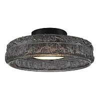 Светильник потолочный LED Antike SL6143.412.01 ST-Luce дымчатый на 1 лампу, основание чёрное в стиле современный 