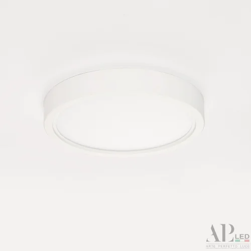 Светильник накладной LED Ingrid 3322.LDY1604M/12W/6K Arte Perfetto Luce белый 1 лампа, основание белое в стиле модерн круглый фото 12