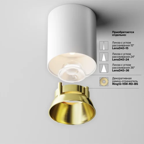 Светильник накладной LED Alfa LED C064CL-12W3K-RD-WB Maytoni белый на 1 лампу, основание белое в стиле современный хай-тек круглый фото 5