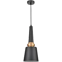 Светильник подвесной Аппассионато (Appassionato) VL2142P01 Vele Luce чёрный на 1 лампу, основание чёрное в стиле современный Светильник подвесной Аппассионато (Appassionato) VL2142P01 Vele Luce чёрный на 1 лампу, основание чёрное в стиле современный